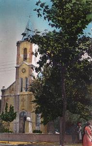TREZEL (2)
